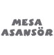 Mesa Asansör