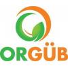 orgüb